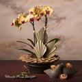 Orchid arrangement on a decorative stand with fan and wood design. Ultimate floral designs Great Falls VA