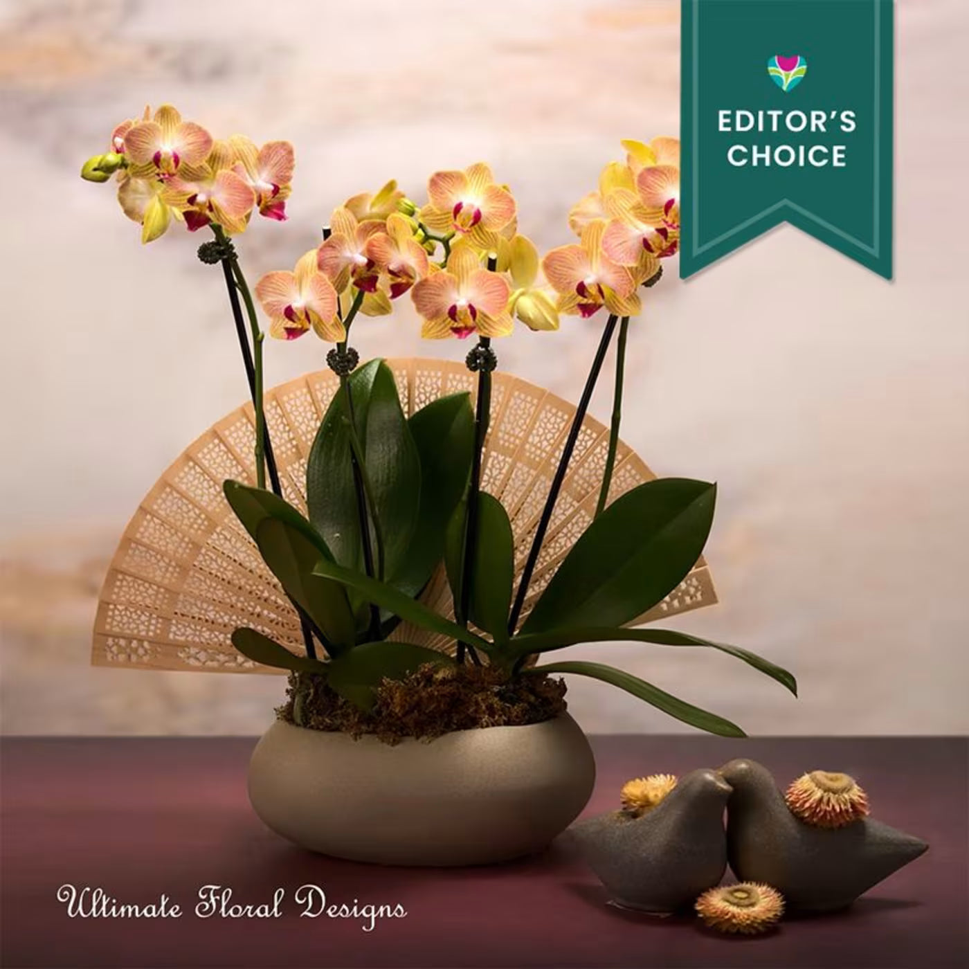 Petite Orchid - Editor's Choice