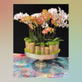 Decorative flower arrangement with wooden base and decorated moss. Designed by ultimate floral designs Great Falls VA