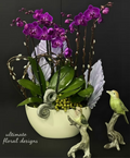 Floral arrangement with purple orchids and greenery in a white pot. Ultimate floral designs Great Falls VA