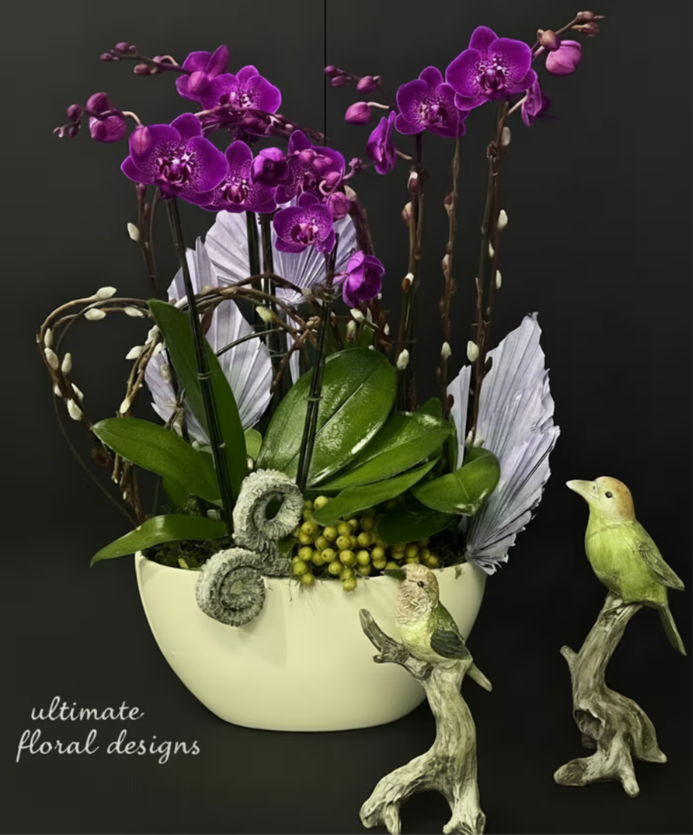 Purple Phalaenopsis Orchid Garden Arrangement